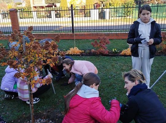 Upiększamy teren wokół szkoły