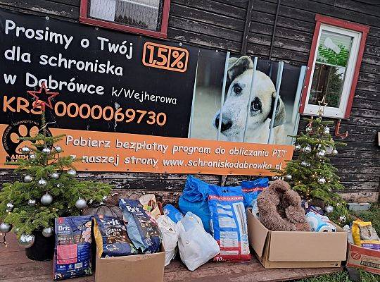 „Dary” dla zwierząt Schroniska w Dąbrówce