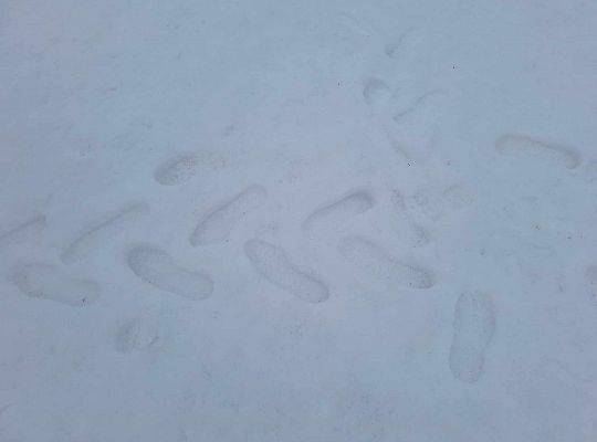 Zimowe zabawy z klasą 1a – zdążyliśmy przed roztopami!