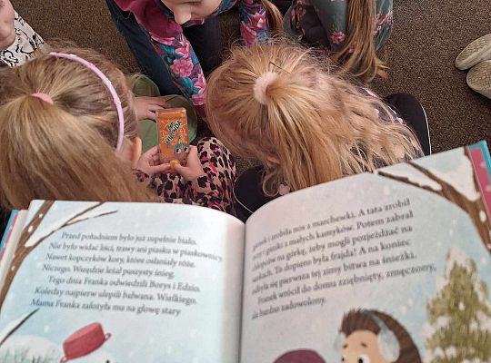 Książka o każdej porze roku