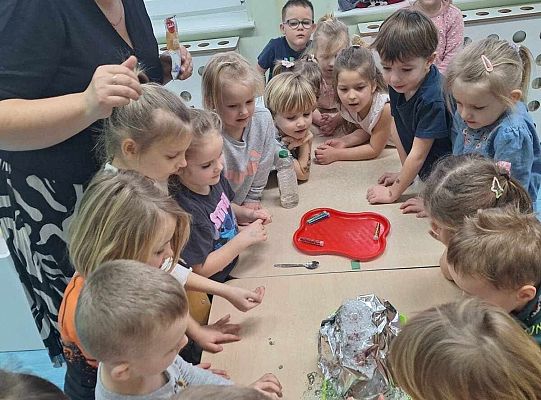 Międzynarodowy Dzień Iluzji