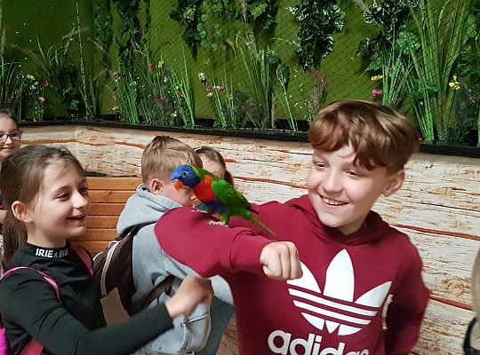 Wycieczka klasy IIA do Parku Edukacyjnego Zoo w Tuchlinie dnia 22 V 2025 - fotorelacja