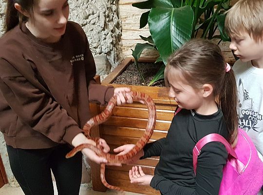 Wycieczka klasy IIA do Parku Edukacyjnego Zoo w Tuchlinie dnia 22 V 2025 - fotorelacja