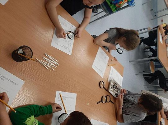 Wycieczka klas trzecich