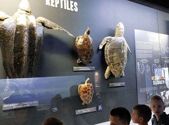 Wycieczka klas trzecich