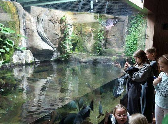 Wycieczka klas trzecich