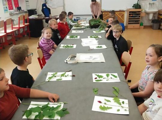 Warsztaty klas pierwszych