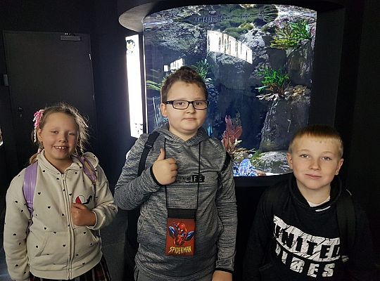 Wycieczka klas trzecich do Oceanarium w Gdyni