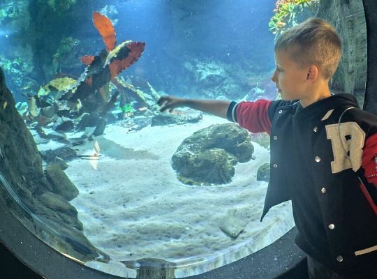Wycieczka klas trzecich do Oceanarium w Gdyni