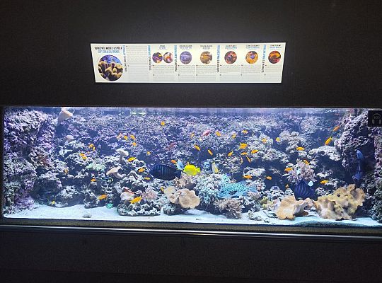 Wycieczka klas trzecich do Oceanarium w Gdyni