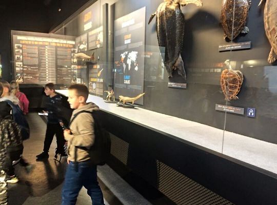 Wycieczka klas trzecich do Oceanarium w Gdyni