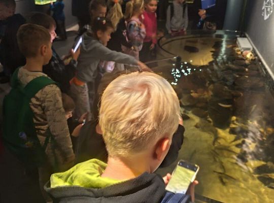 Wycieczka klas trzecich do Oceanarium w Gdyni