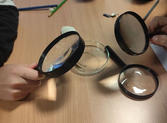 Wycieczka klas trzecich do Oceanarium w Gdyni