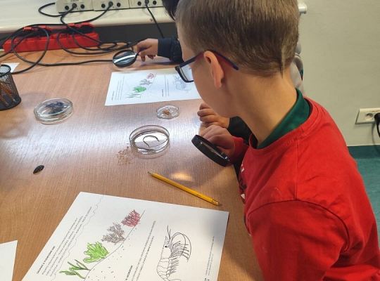 Wycieczka klas trzecich do Oceanarium w Gdyni