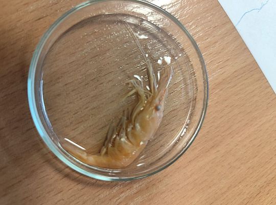 Wycieczka klas trzecich do Oceanarium w Gdyni