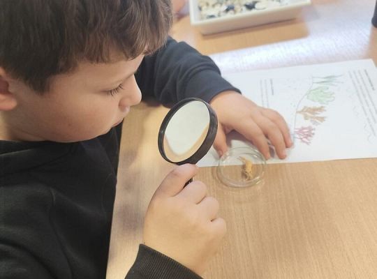 Wycieczka klas trzecich do Oceanarium w Gdyni