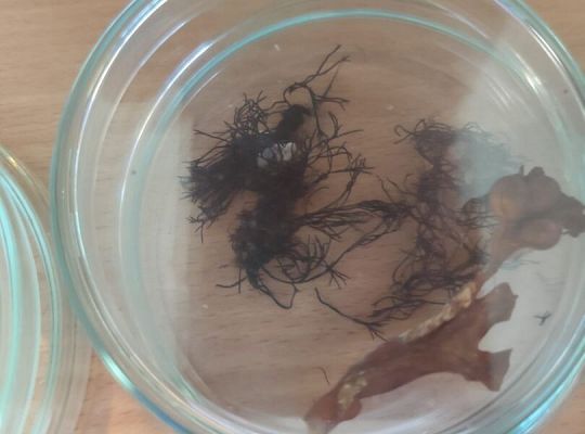 Wycieczka klas trzecich do Oceanarium w Gdyni