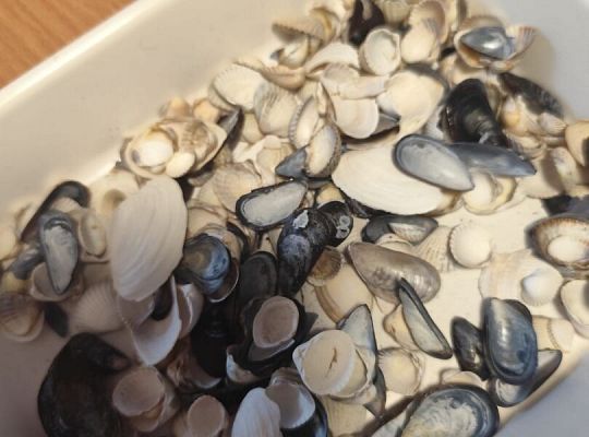 Wycieczka klas trzecich do Oceanarium w Gdyni