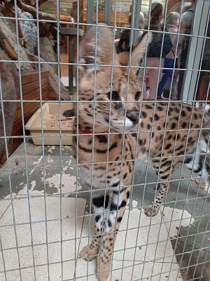 Edukacyjne Zoo-Egzotyczne