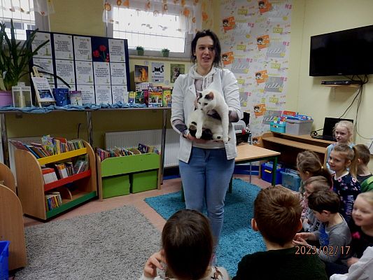 Światowy Dzień Kota